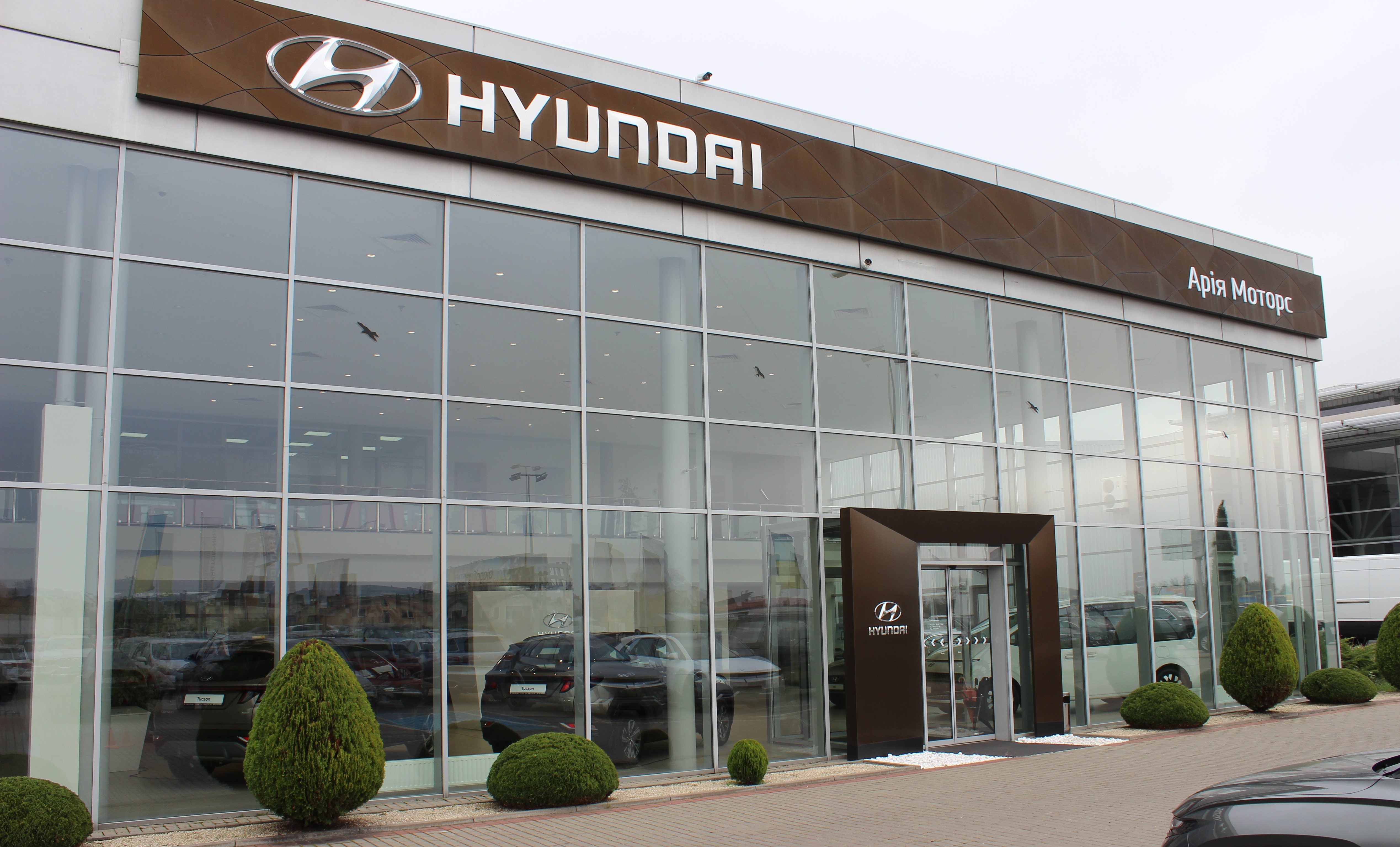 Автомобілі Hyundai м. Київ | Купити новий Хюндай | Дар-Авто - фото 6
